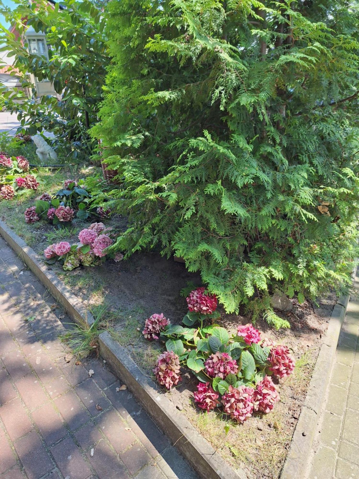 Domek Letniskowy 3 Os Pod Bukiem Miedzyzdroje Exteriér fotografie